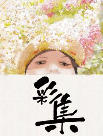 彩集