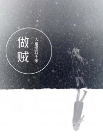 做贼