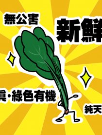 酷玩小日常
