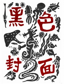 黑色封面